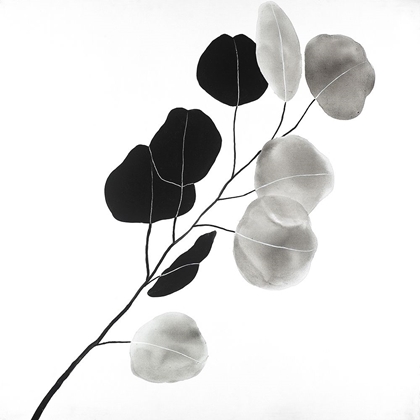 Picture of GRAYSCALE BRANCH WITH ROUND SHAPE LEAVES