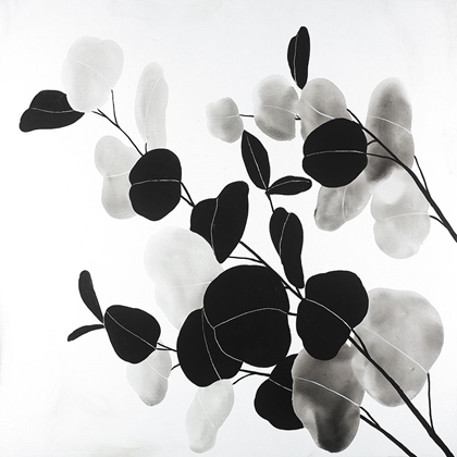 Picture of GRAYSCALE BRANCHES WITH ROUND SHAPE LEAVES