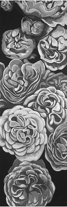 Picture of GRAYSCALE DAHLIAS 