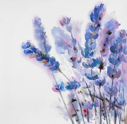 Picture of WATERCOLOR LAVENDER FLOWERS