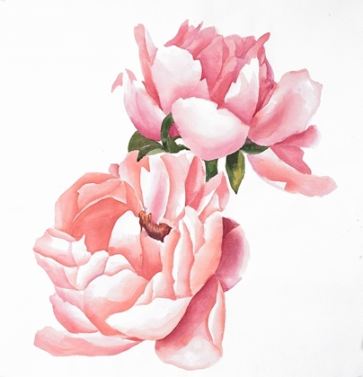 Picture of TWO PINK WATERCOLOR ROSES