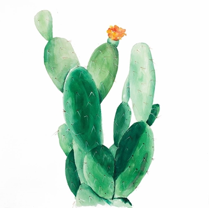 Picture of WATERCOLOR PADDLE CACTUS WITH FLOWER