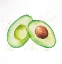 Picture of WATERCOLOR OPEN AVOCADO