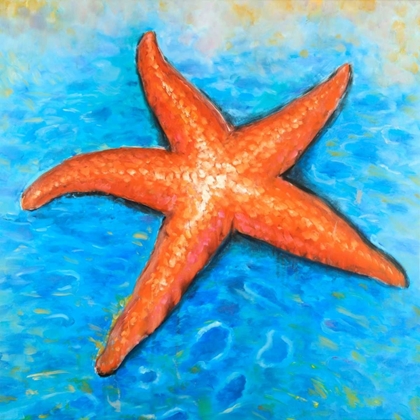 Picture of VIVID STARFISH