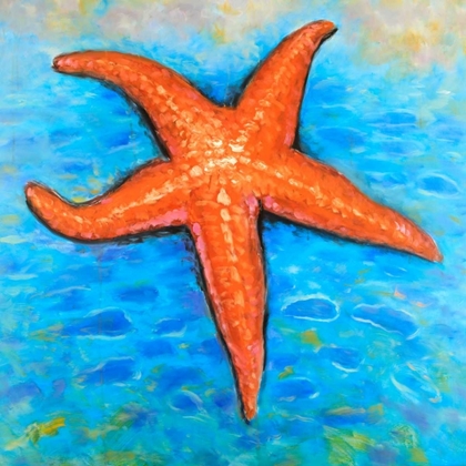 Picture of STARFISH IN THE SEA