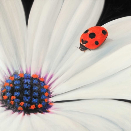 Picture of WHITE DAISY AND LADYBUG