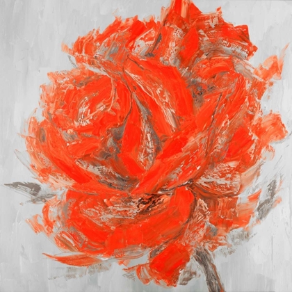 Picture of ABSTRACT ROSE