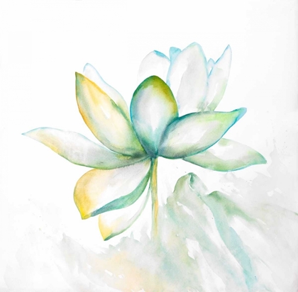 Picture of ABSTRACT LOTUS FLOWER