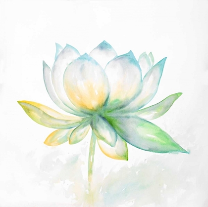 Picture of LOTUS FLOWER