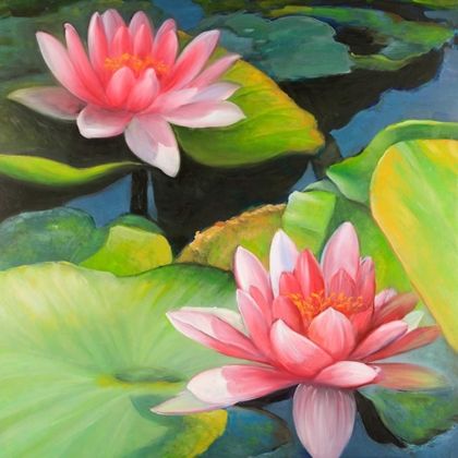 Picture of WATER LILIES AND LOTUS FLOWERS