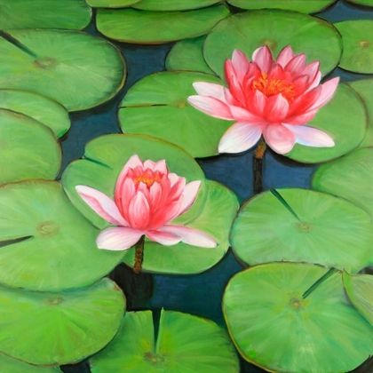 Picture of LOTUS FLOWERS IN A SWAMP