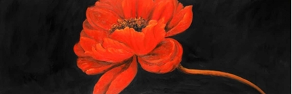 Picture of RED PETAL FLOWER