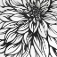 Picture of DAHLIA FLOWER OUTLINE STYLE