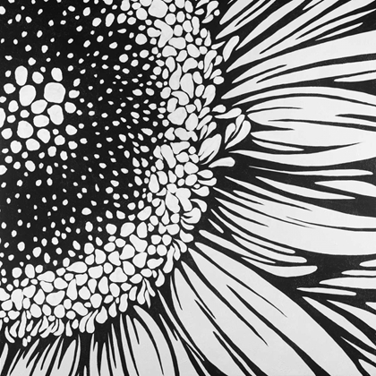 Picture of GERBERA FLOWER OUTLINE STYLE
