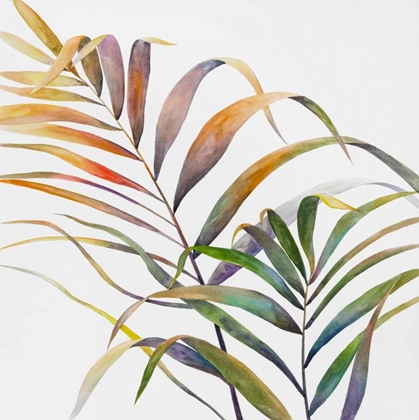 Picture of WATERCOLOR TROPICAL PALM LEAVES
