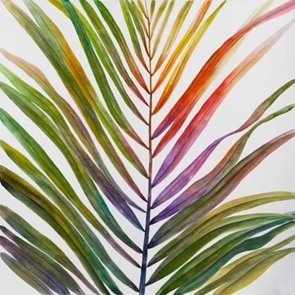 Picture of WATERCOLOR TROPICAL PALM LEAVE