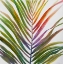 Picture of WATERCOLOR TROPICAL PALM LEAVE