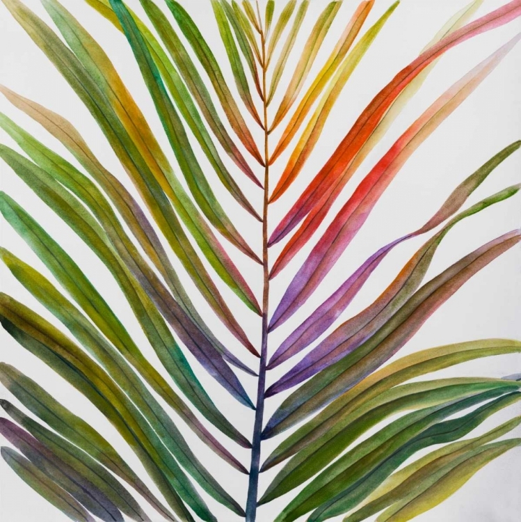 Picture of WATERCOLOR TROPICAL PALM LEAVE