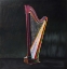 Picture of COLORFUL REALISTIC HARP