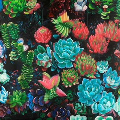 Picture of SET OF COLORFUL SUCCULENTS