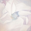 Picture of DELICACY