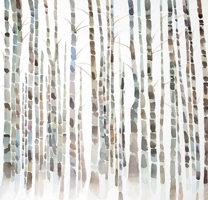 Picture of BIRCH FOREST