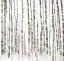 Picture of BIRCH FOREST