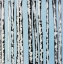 Picture of BIRCHES ON A CLEAR SKY