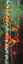 Picture of COLORFUL DOTTED LEAVES BIRCHES