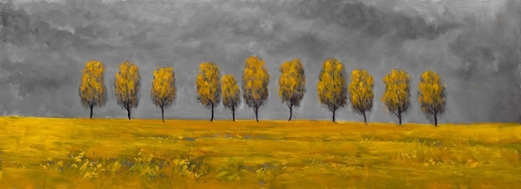Picture of YELLOW TREES IN A FIELD