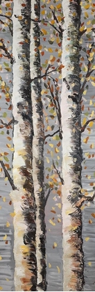 Picture of BLOSSOMING BIRCHES