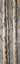 Picture of BLOSSOMING BIRCHES