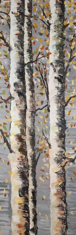 Picture of BLOSSOMING BIRCHES
