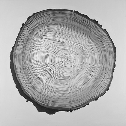 Picture of GRAYSCALE ROUND SHAPED TREE SLAB