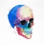 Picture of WATERCOLOR COLORFUL SKULL PROFILE