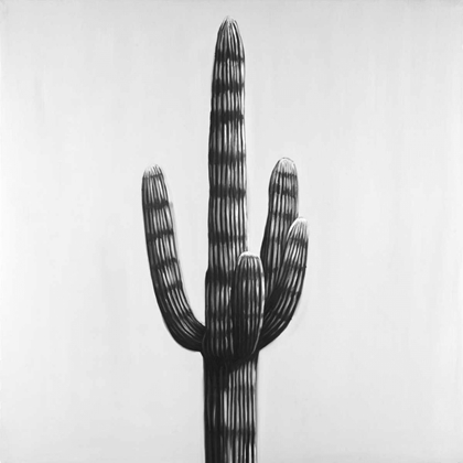 Picture of LARGE CACTUS