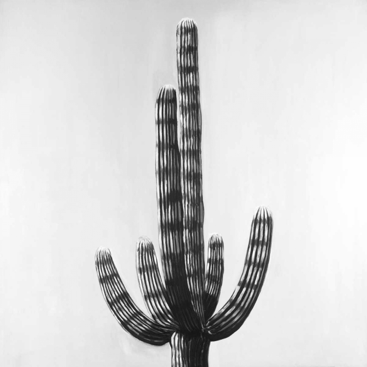 Picture of CACTUS