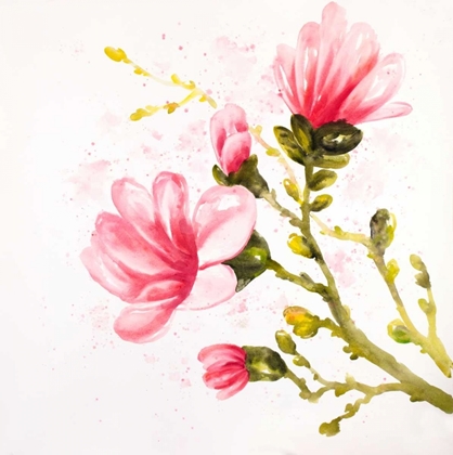 Picture of WATERCOLOR MAGNOLIA FLOWERS
