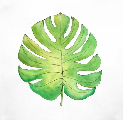 Picture of TROPICAL LEAF GREENERY