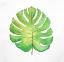 Picture of TROPICAL LEAF GREENERY