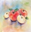Picture of APPLE HARVEST