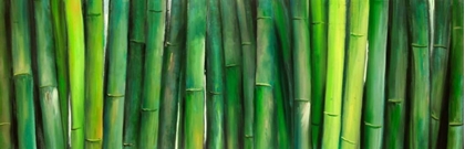 Picture of GREEN BAMBOO
