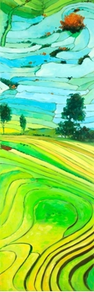 Picture of RICE FIELDS TO VIETNAM