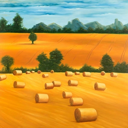 Picture of HAY BALE FIELDS