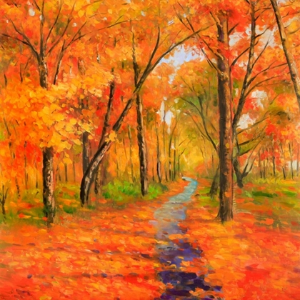 Picture of AUTUMN TRAIL IN THE FOREST