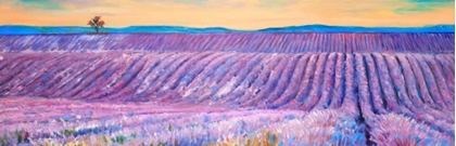 Picture of LANDSCAPE OF A FIELD OF LAVENDER