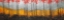 Picture of ABSTRACT LANDSCAPE