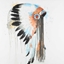 Picture of INDIAN WAR BONNET