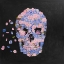 Picture of SKULL OF FLOWERS IN FLIGHT