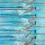 Picture of NAGEURS OLYMPIQUE